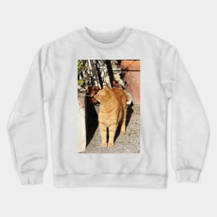 How the world smells Cat Portrait Crewneck Sweatshirt